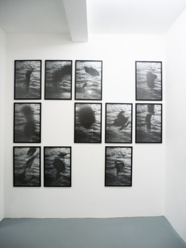 36-MSCO3248_UW3_cMichele-Scognamiillo